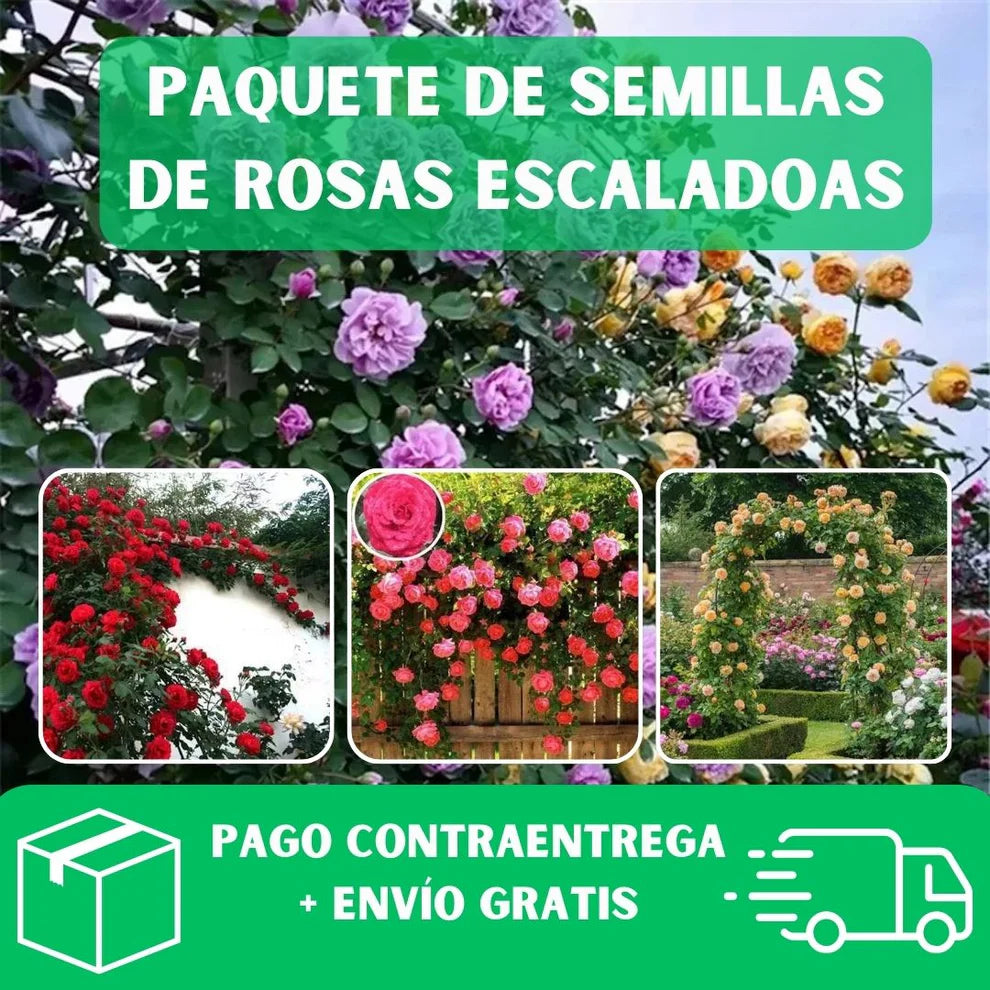 Semillas De Rosas Trepadoras (200 Uds.), con guía de paso a paso para cultivar.