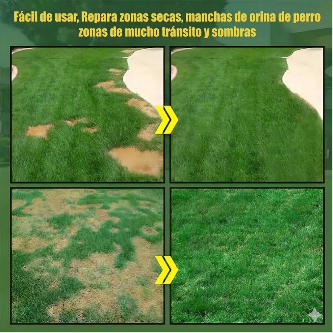 SEMILLAS DE CESPED, PAGA UNO LLEVA DOS🔥🌿