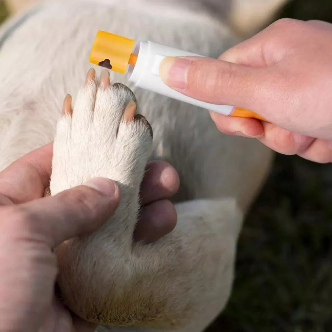 LIMA ELÉCTRICA PARA UÑAS DE MASCOTAS