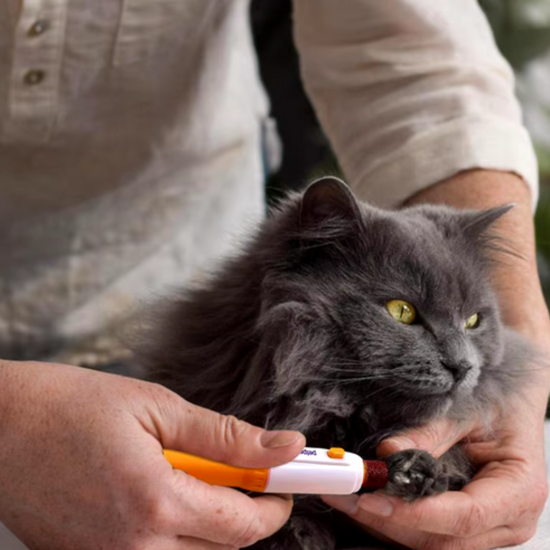 LIMA ELÉCTRICA PARA UÑAS DE MASCOTAS